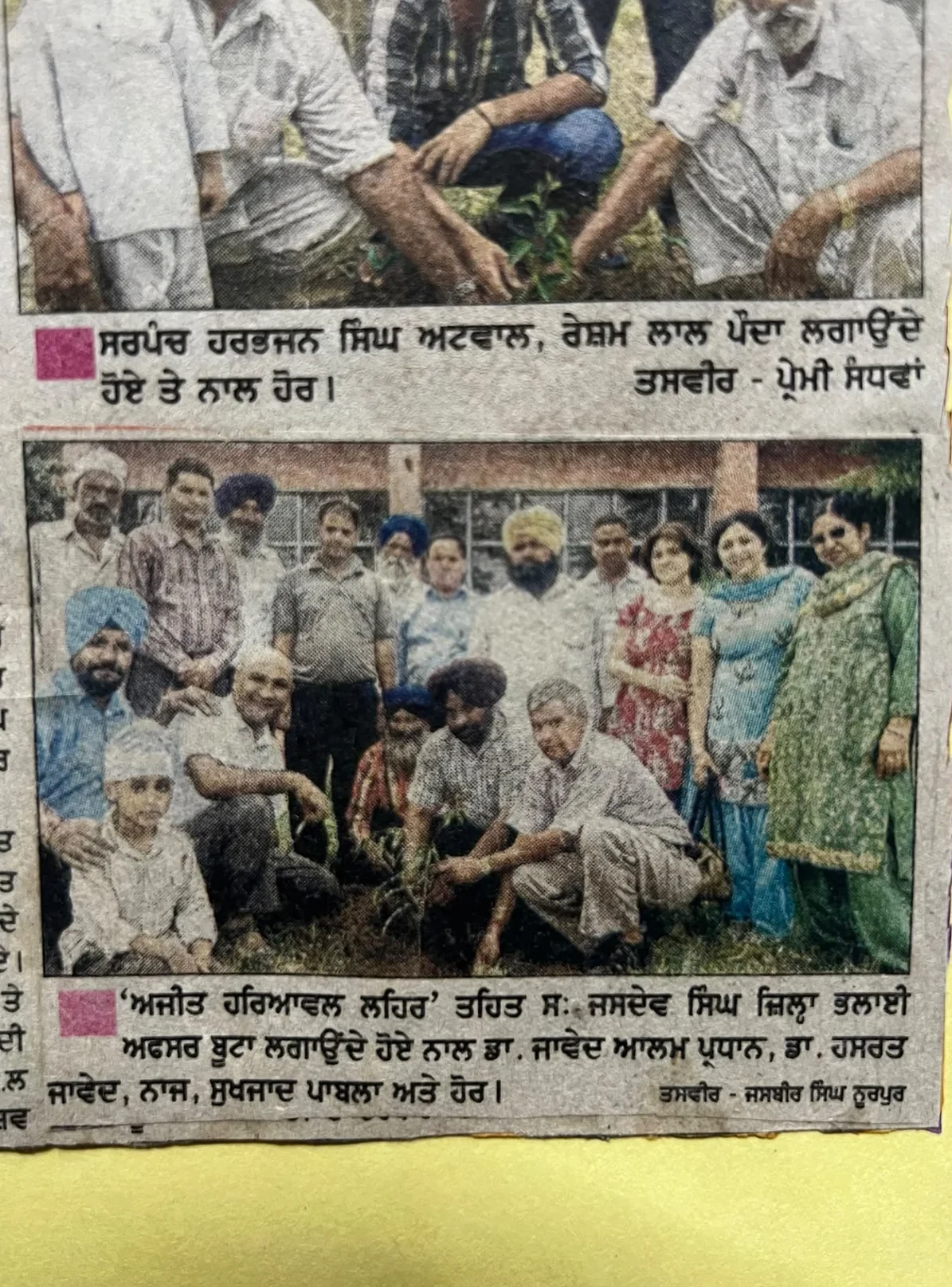 Press clipping with tree plantation participants